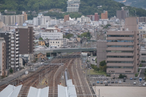 Kagawa2010113.jpg