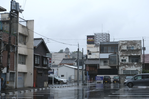 Kagawa2010128.jpg