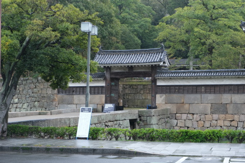 Kagawa2010132.jpg