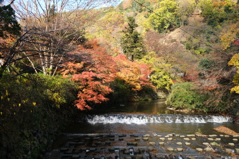 Kyoto1911008.jpg