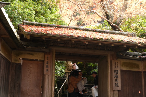 Kyoto1911017.jpg