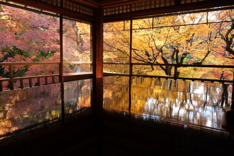 Kyoto1911018.jpg