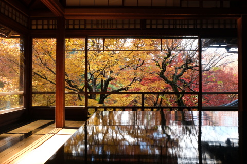 Kyoto1911019.jpg