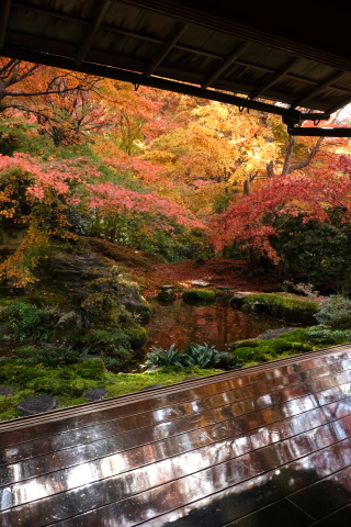 Kyoto1911024.jpg
