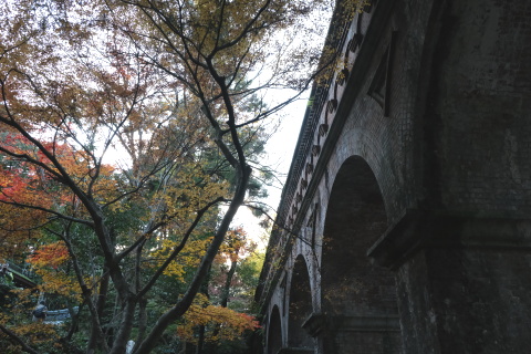 Kyoto1911038.jpg