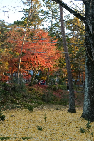Kyoto1911040.jpg