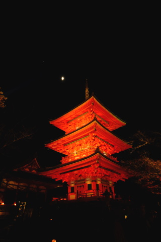 Kyoto2011078.jpg