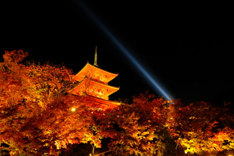Kyoto2011080.jpg