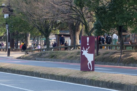 Nara180203.jpg