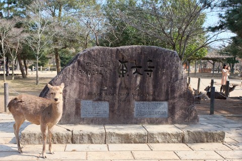 Nara180205.jpg