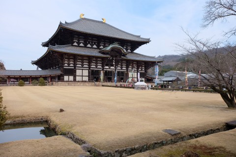 Nara180212.jpg