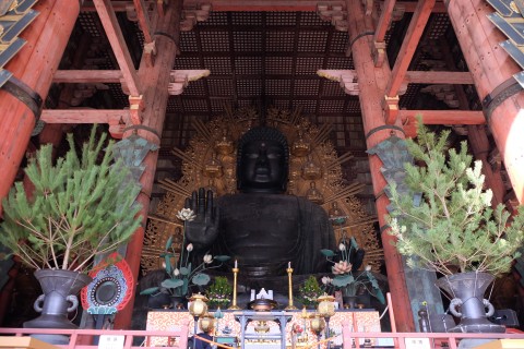 Nara180217.jpg
