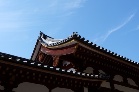 Nara180225.jpg
