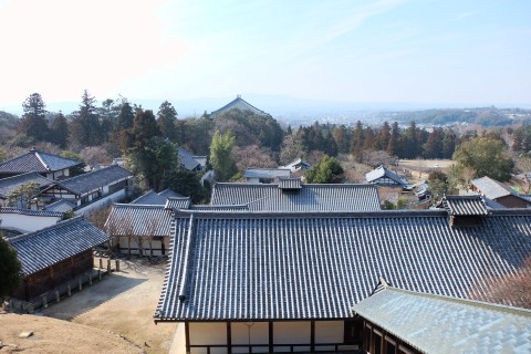 Nara180229.jpg