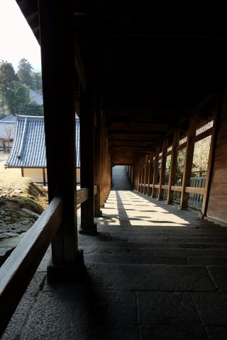 Nara180230.jpg
