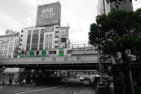Tokyo20_12_057.jpg