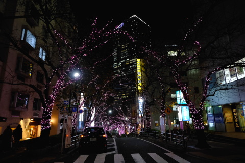 Tokyo20_12_071.jpg