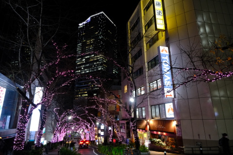 Tokyo20_12_073.jpg